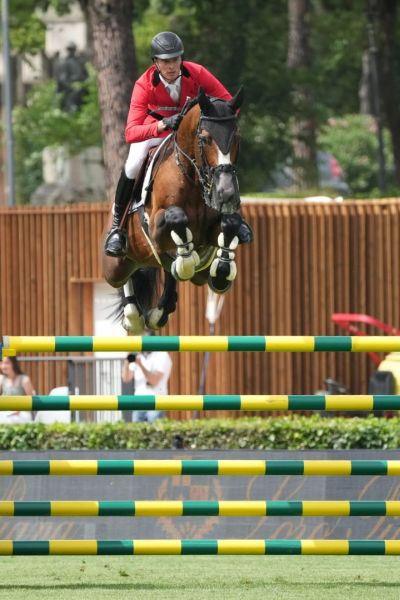 AKARAD HERO Z - The rise of a new power! | Studfarm Zangersheide